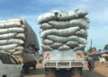 Uganda’s Charcoal Conundrum: Deforestation Persists Despite Presidential Ban.