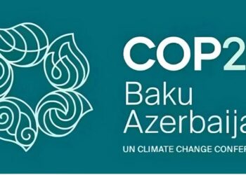 Uganda’s Charcoal Conundrum: Deforestation Persists Despite Presidential Ban.