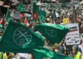 The Brotherhood in the Big Tent: Why Democrats’ Apparent Comfort with Muslim Brotherhood Networks Should Alarm Voters.